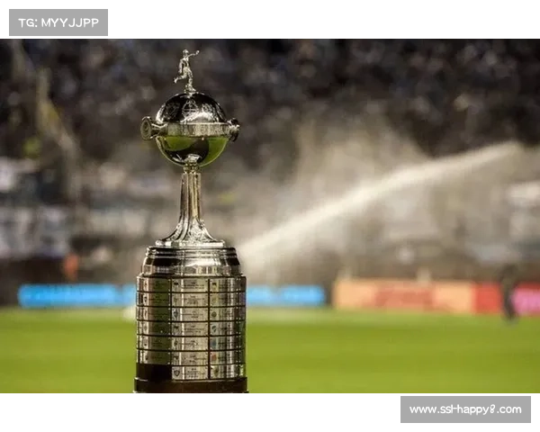 解放者杯决赛：博卡青年2-1河床，总比分夺冠